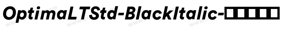 OptimaLTStd-BlackItalic字体转换