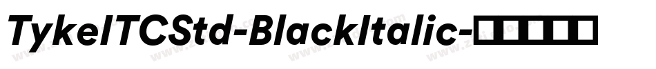 TykeITCStd-BlackItalic字体转换