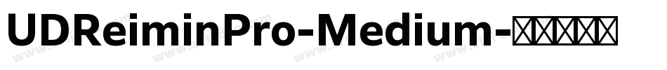 UDReiminPro-Medium字体转换