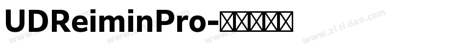UDReiminPro字体转换
