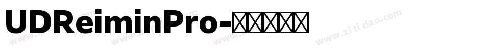 UDReiminPro字体转换