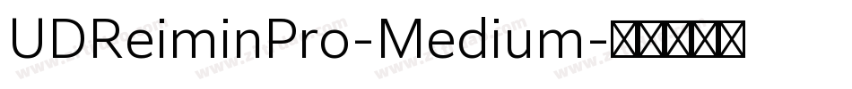 UDReiminPro-Medium字体转换