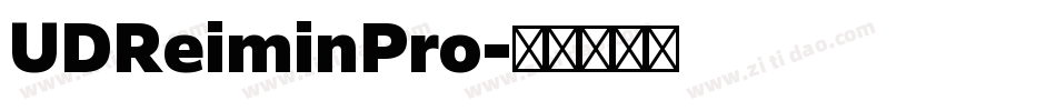 UDReiminPro字体转换