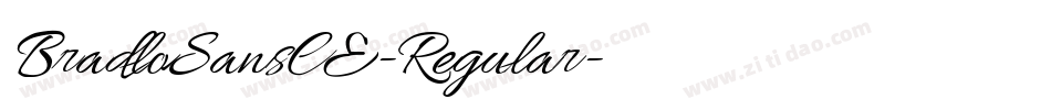 BradloSansCE-Regular字体转换