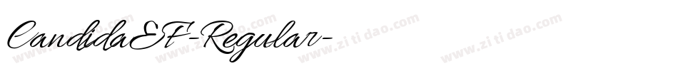 CandidaEF-Regular字体转换
