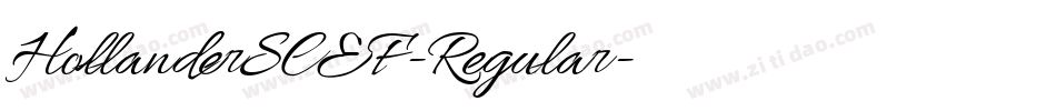 HollanderSCEF-Regular字体转换