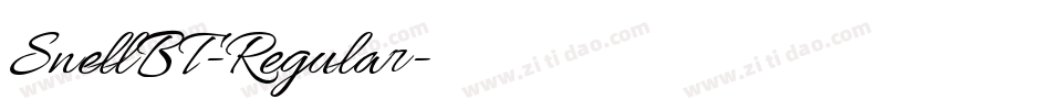 SnellBT-Regular字体转换