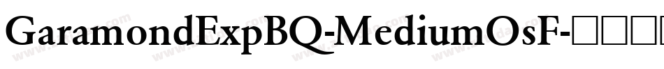 GaramondExpBQ-MediumOsF字体转换