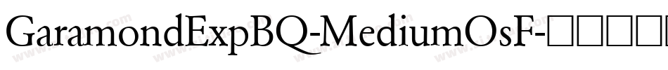 GaramondExpBQ-MediumOsF字体转换