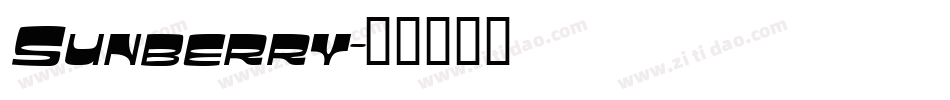 Sunberry字体转换