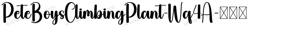PeteBoysClimbingPlant-Wq4A字体转换