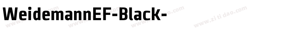 WeidemannEF-Black字体转换