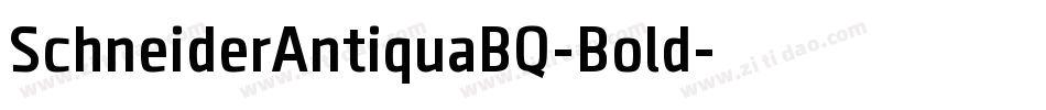 SchneiderAntiquaBQ-Bold字体转换