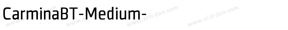 CarminaBT-Medium字体转换 CarminaBT-Medium字体转换