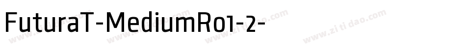 FuturaT-MediumRo1-2字体转换