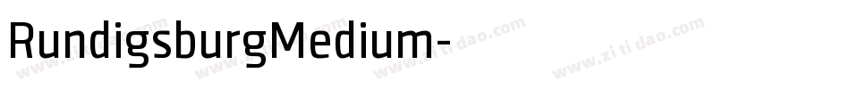 RundigsburgMedium字体转换