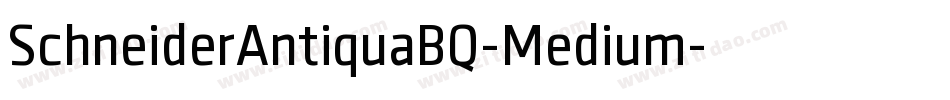 SchneiderAntiquaBQ-Medium字体转换