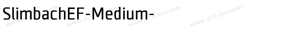 SlimbachEF-Medium字体转换 SlimbachEF-Medium字体转换
