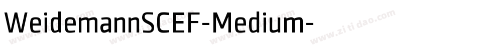WeidemannSCEF-Medium字体转换