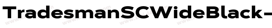 TradesmanSCWideBlack字体转换 TradesmanSCWideBlack字体转换