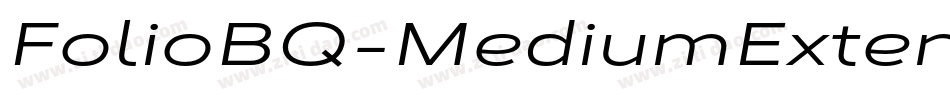 FolioBQ-MediumExtendedItalic字体转换