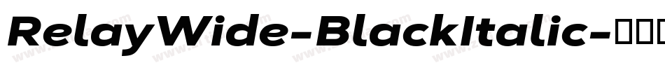 RelayWide-BlackItalic字体转换