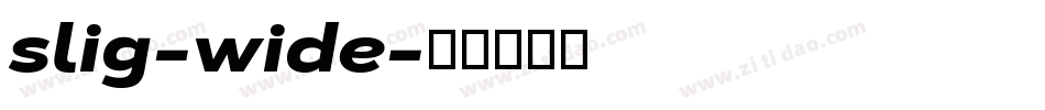 slig-wide字体转换