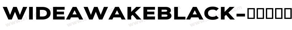 WIDEAWAKEBLACK字体转换