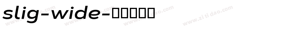 slig-wide字体转换