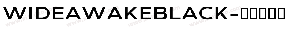 WIDEAWAKEBLACK字体转换