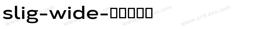 slig-wide字体转换