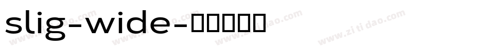 slig-wide字体转换