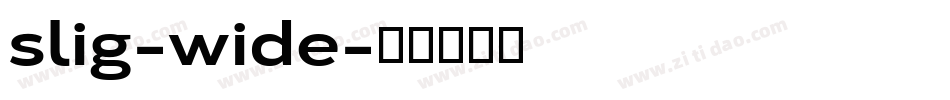 slig-wide字体转换