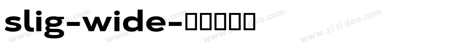 slig-wide字体转换