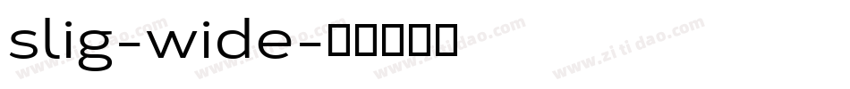 slig-wide字体转换