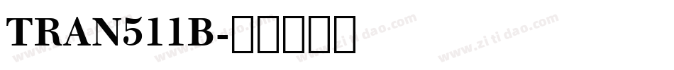 TRAN511B字体转换
