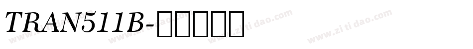 TRAN511B字体转换