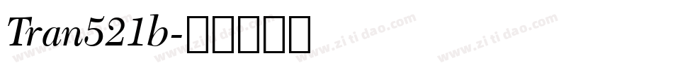 Tran521b字体转换