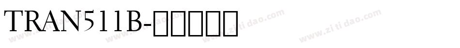 TRAN511B字体转换
