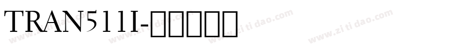 TRAN511I字体转换