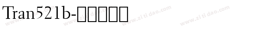 Tran521b字体转换