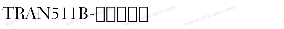 TRAN511B字体转换