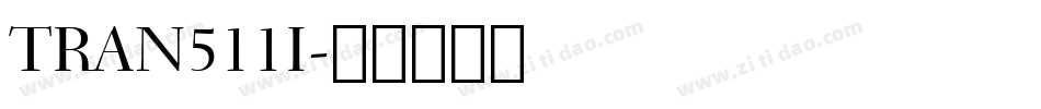 TRAN511I字体转换