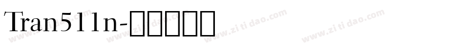 Tran511n字体转换