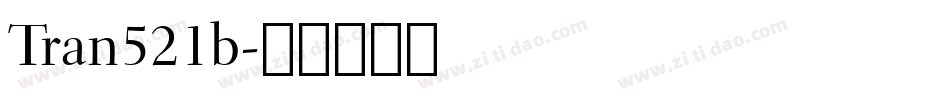 Tran521b字体转换
