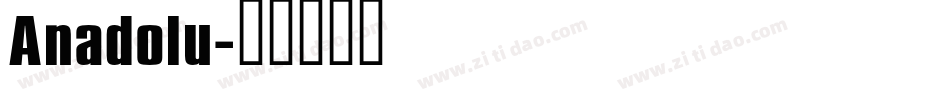 Anadolu字体转换