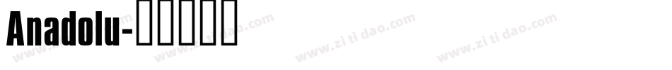 Anadolu字体转换
