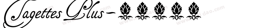 TagettesPlus字体转换