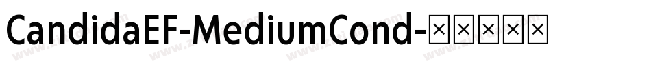 CandidaEF-MediumCond字体转换