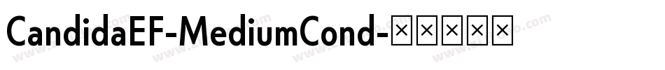 CandidaEF-MediumCond字体转换